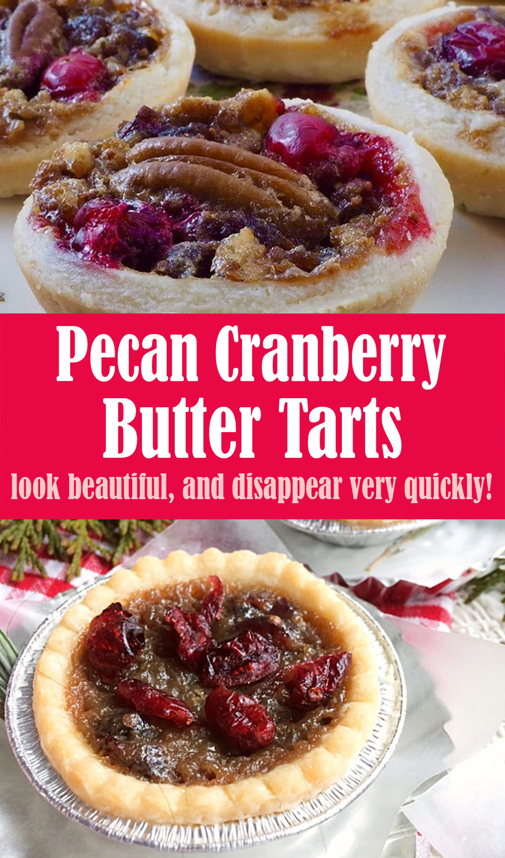 Delicious Pecan Cranberry Butter Tarts